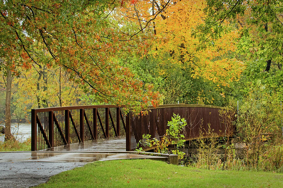 Bridge After An October Rain Photograph by Ira Marcus