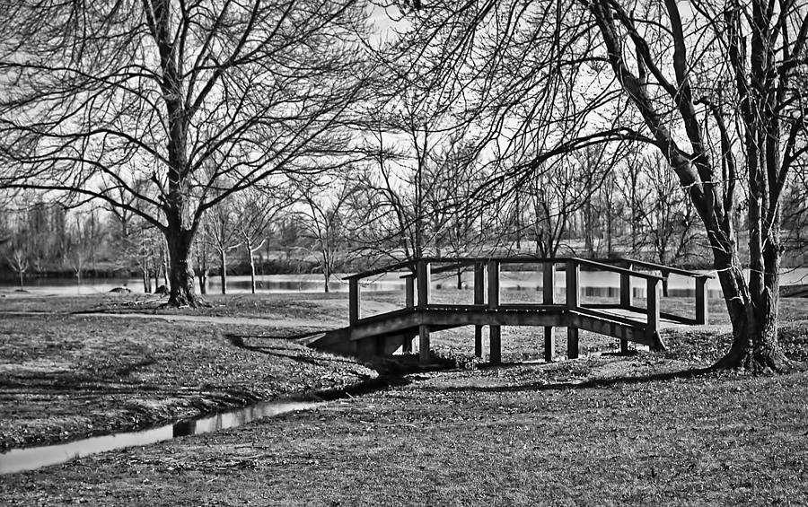 Bridge and Branches Photograph by Greg Jackson