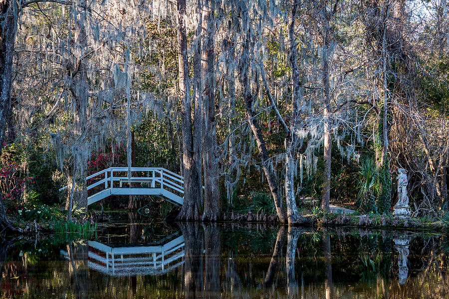 Bridge and Statue at Magnolia Plantation Gardens Photograph by Susie Weaver