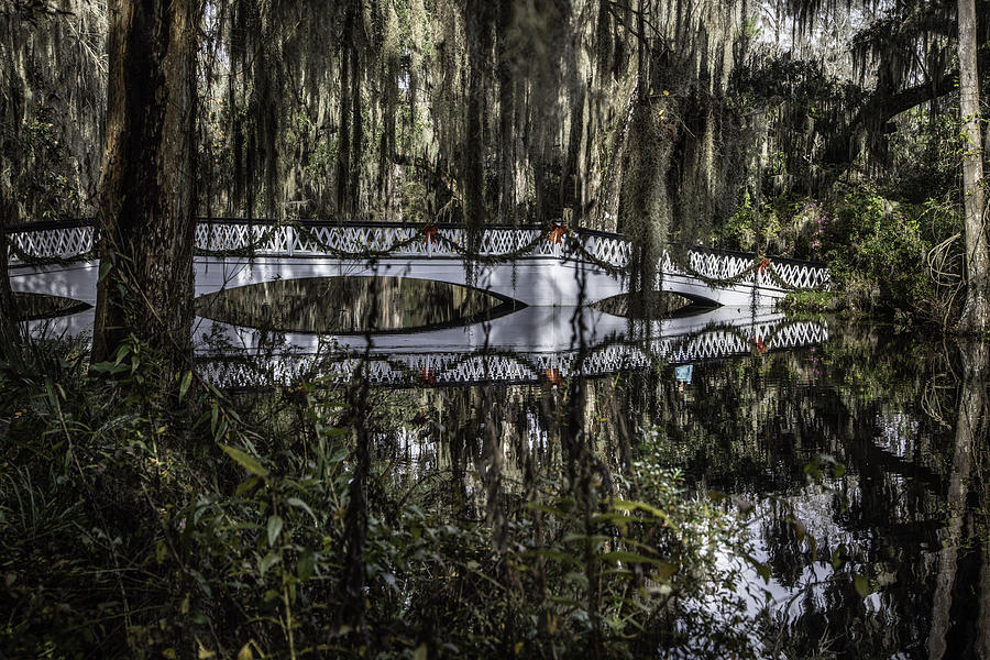 Bridge and swamp at Plantation Photograph by John McGraw