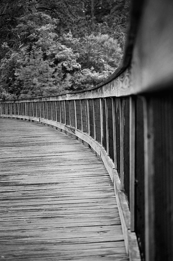 Bridge Photograph - Bridge at Calloway II by Robert Meanor
