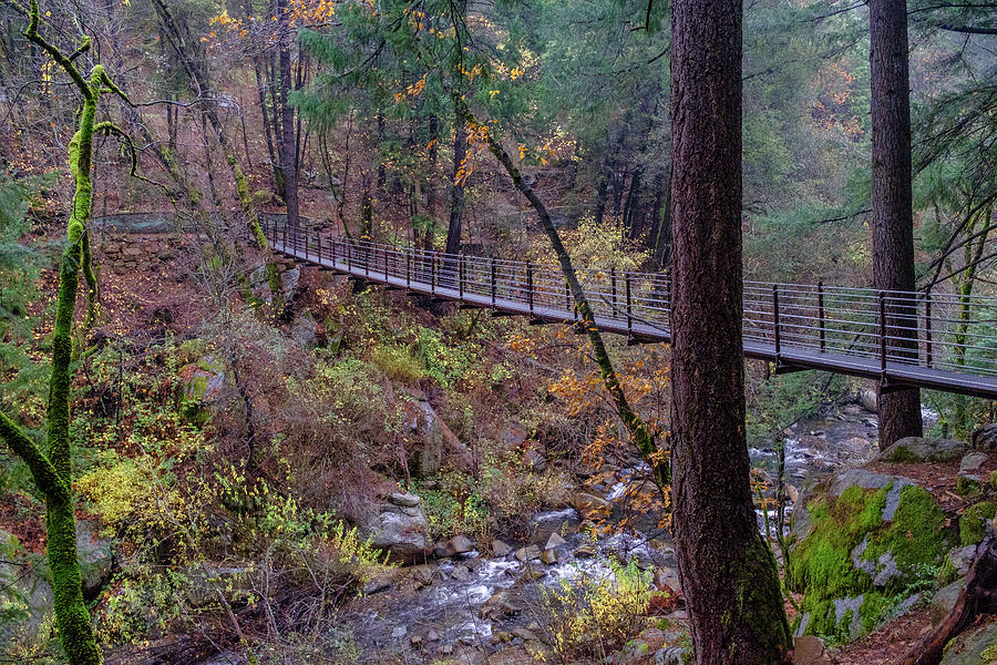 Bridge at Deer Creek Photograph by Robin Mayoff