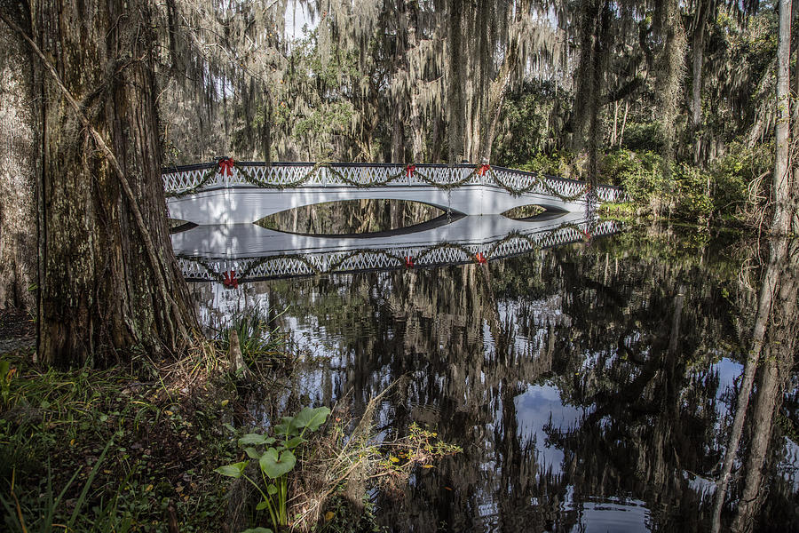 Bridge Photograph - Bridge at Magnolia Plantation by John McGraw