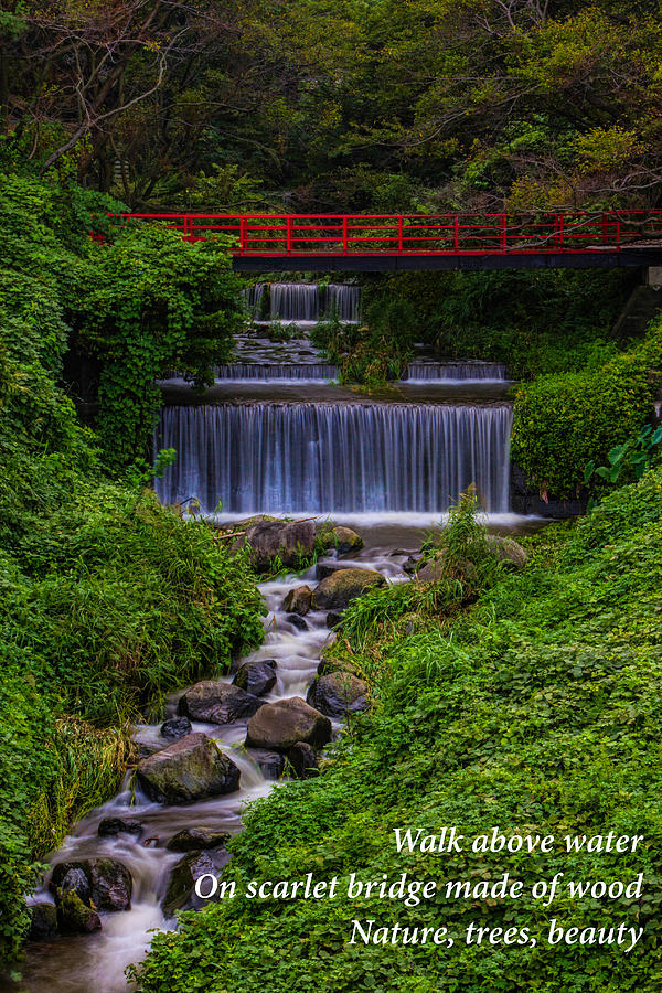 Bridge Photograph - Bridge Haiku by Leonard Sharp Bridge Photograph - Bridge Haiku by Leonard Sharp