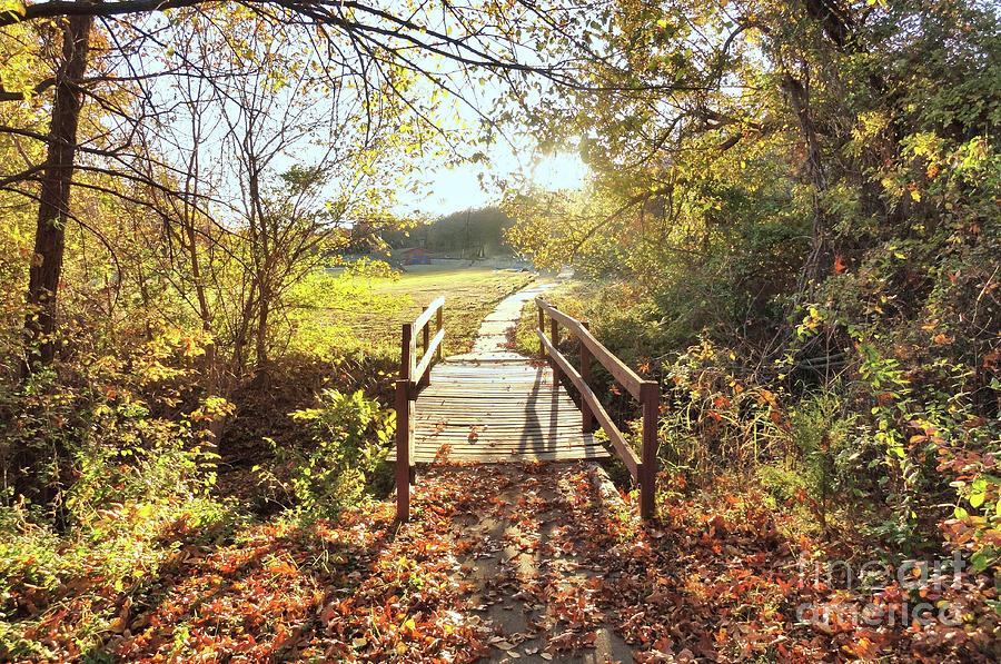 Bridge in Autumn Photograph by Janette Boyd