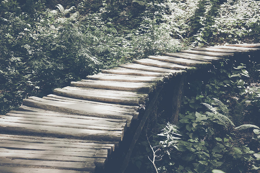 Bridge in Forest in Retro Instagram Style Filter Photograph by Brandon Bourdages