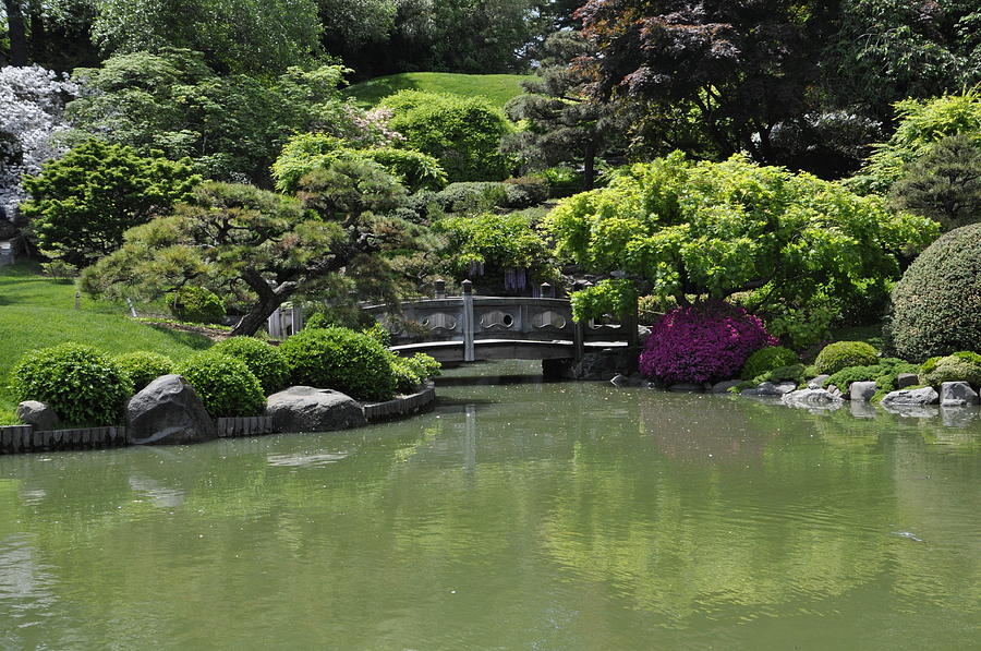 Bridge in Garden Photograph by Daniel Ingellis - Fine Art America