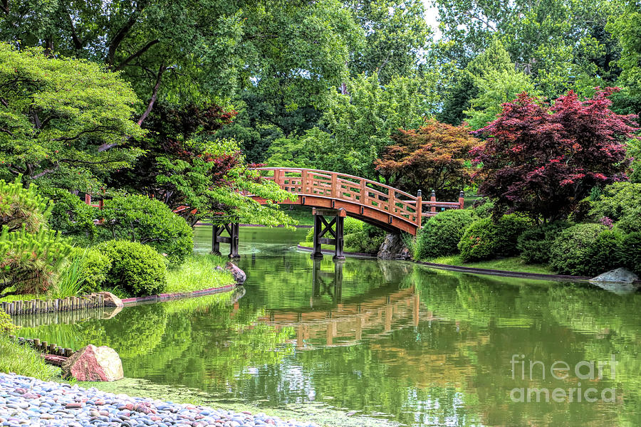 Bridge in Japanese Garden Photograph by John Freidenberg