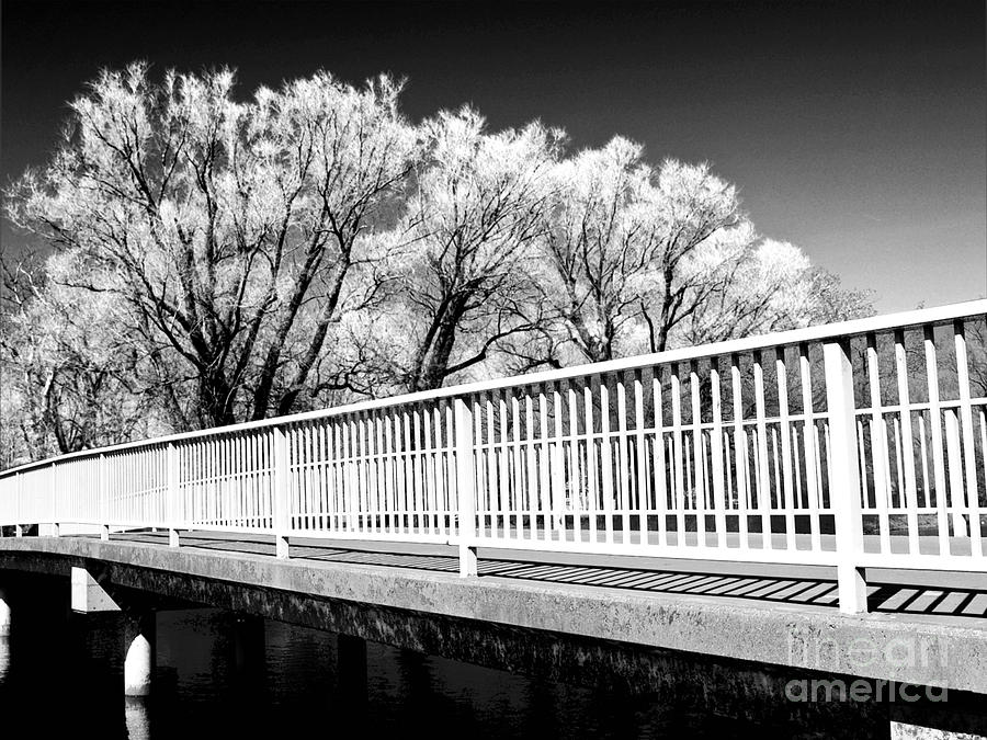 Bridge In Monochrome Photograph by Emilio Lovisa