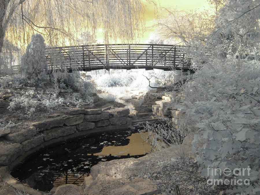Bridge in Shades of Infrared Photograph by Crystal Nederman
