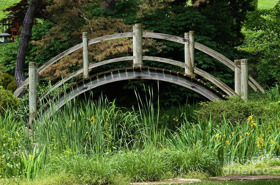 Bridge In The Japanese Garden Photograph By Teresa Hayes