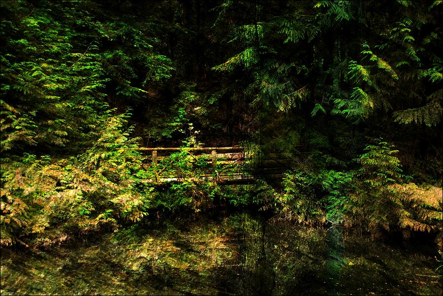 Bridge in the Woods Photograph by Bill Howard