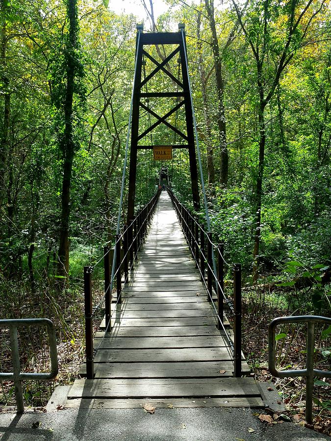 Bridge In The Woods Photograph By Joseph Kimmel - Fine Art America