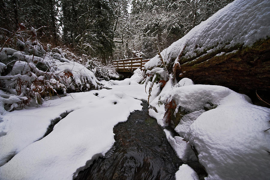 Bridge in Winter Photograph by John Christopher