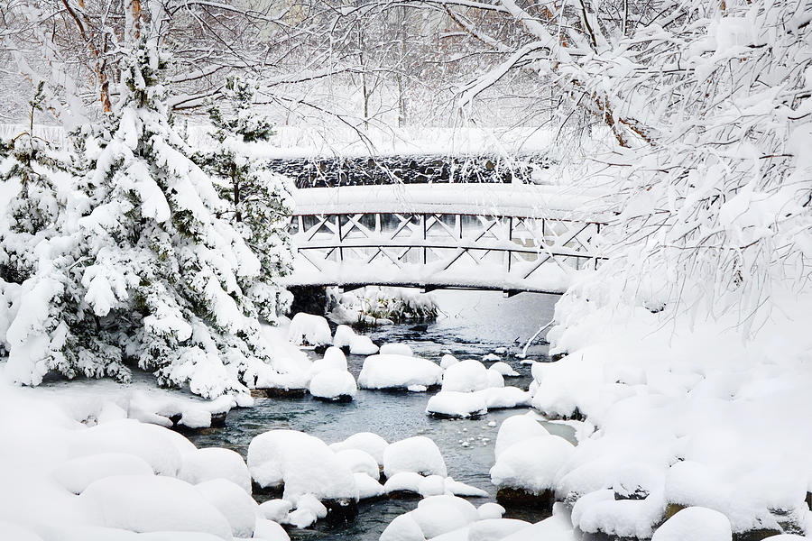 Bridge in Winter Snow Photograph by Frances Miller