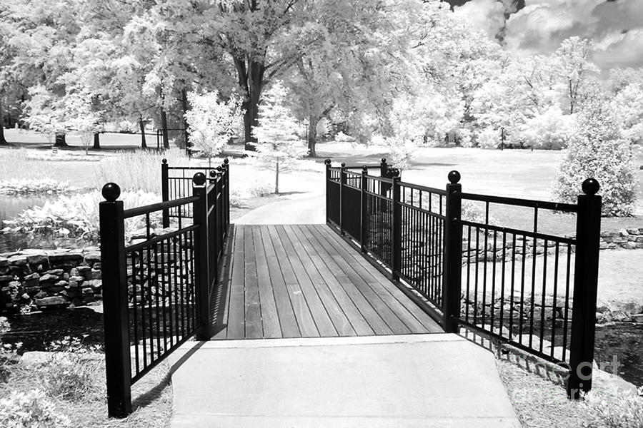 Infrared Black White Surreal Bridge Gate Nature Landscape Infrared Photograph by Kathy Fornal