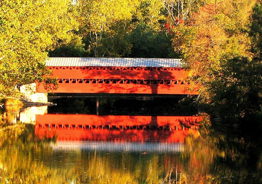 Bridge Into Autumn Photograph by Angela Davies