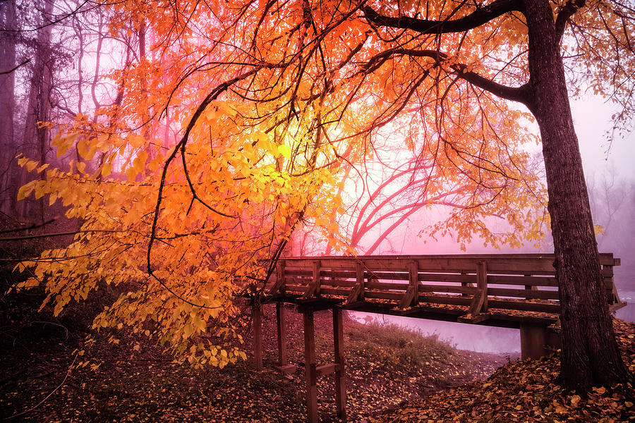 Bridge into the Magic of Autumn Photograph by Debra and Dave Vanderlaan