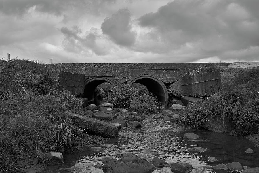 Bridge Photograph