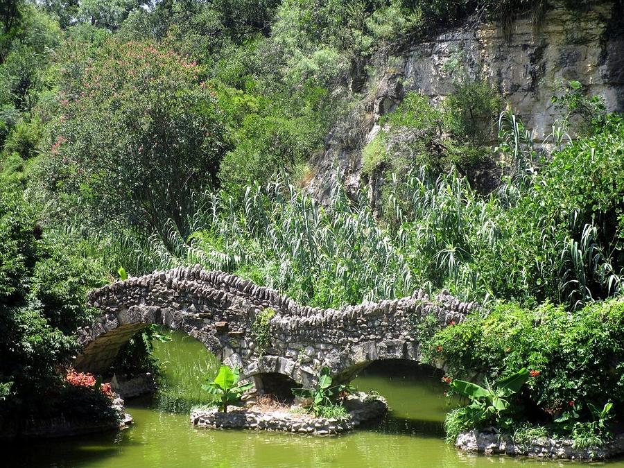 Japanese Tea Garden Bridge Photograph by Matthew Kramer - Fine Art America