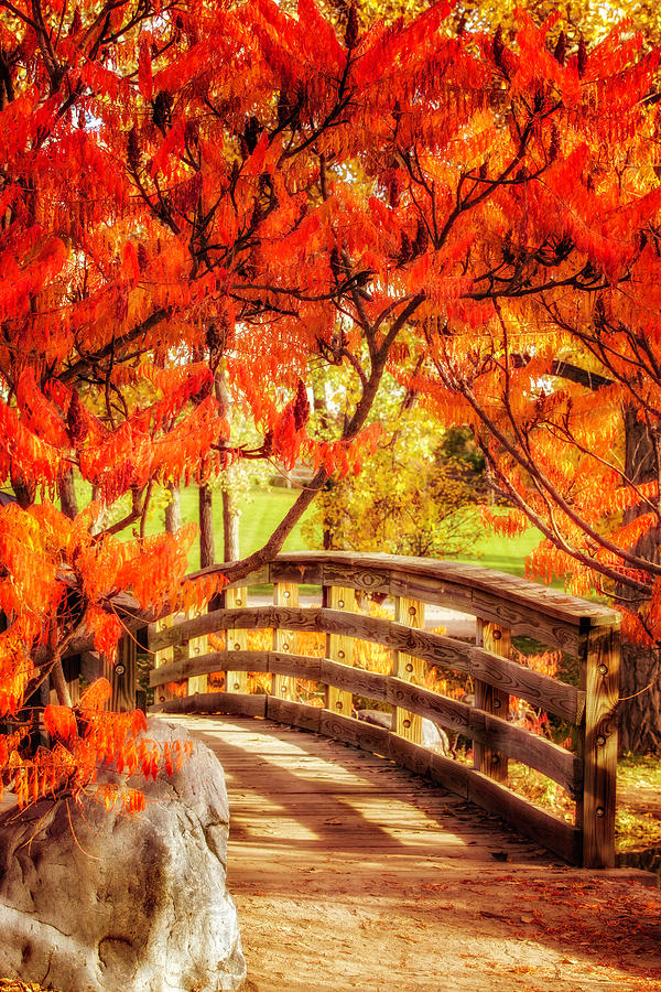 Bridge of Fall Photograph by Kristal Kraft
