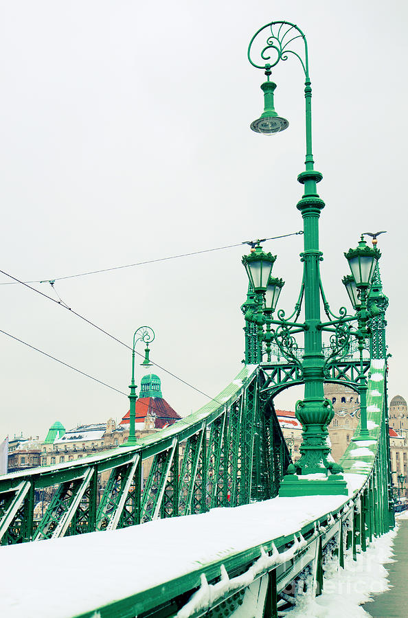 Bridge of Liberty in Budapest Photograph by Anastasy Yarmolovich