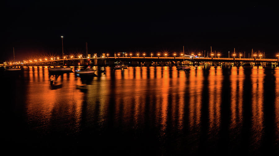 Bridge of Lions - Night View Photograph by Larry Jones