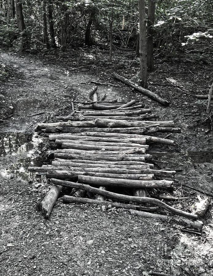 Bridge of Logs Photograph by Phil Perkins
