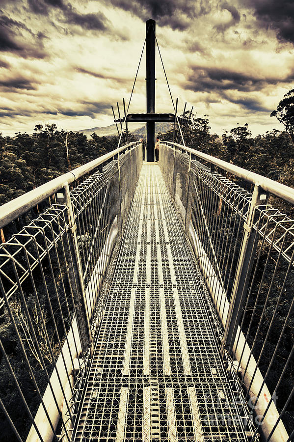 Bridge of suspension  Photograph by Jorgo Photography