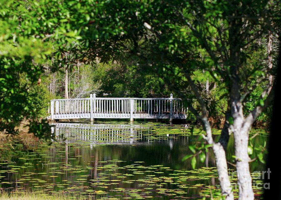 Bridge on Lilly Pond Photograph by Lori Mellen-Pagliaro