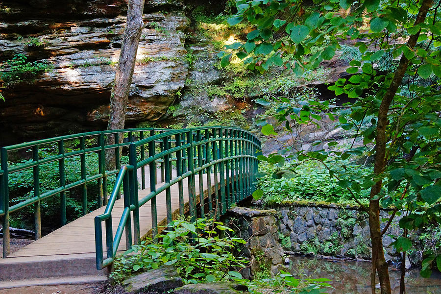 Bridge on the Path Photograph by Mike Murdock