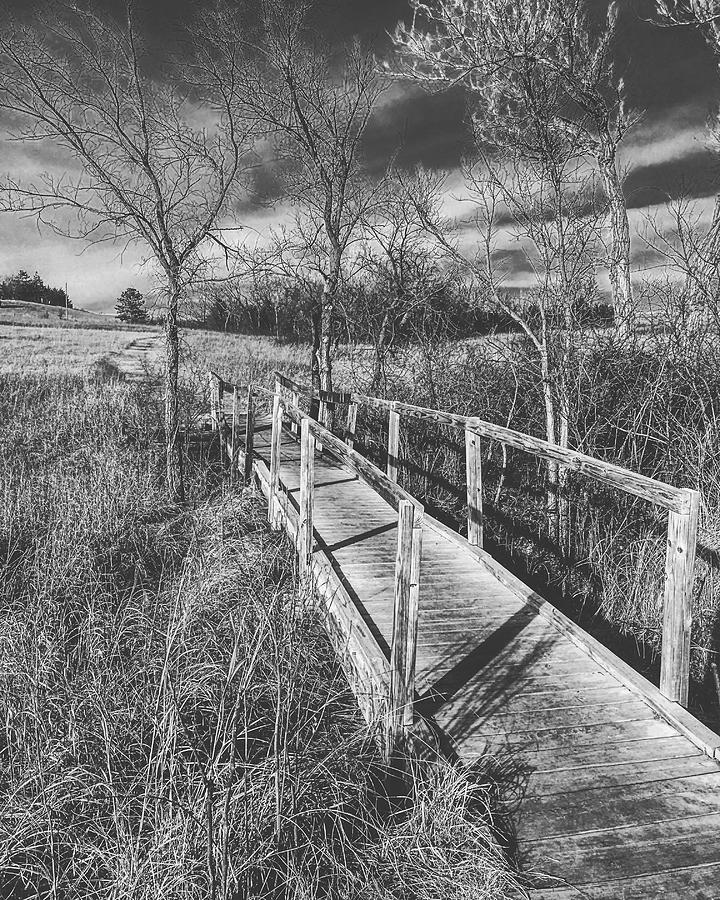 Bridge on the Prairie Photograph by Michael Oceanofwisdom Bidwell