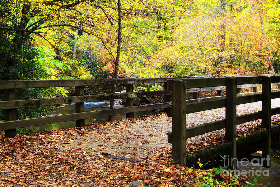 Bridge over a Creek in the Fall Photograph by Jill Lang