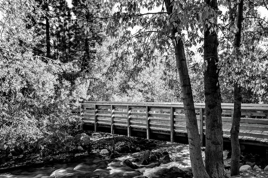 Bridge over creek Photograph by Maria Coulson