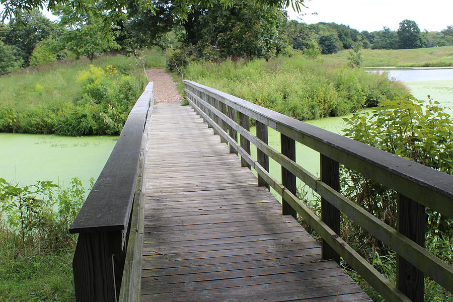 Bridge Photograph - Bridge over Green Waters by Weathered Wood