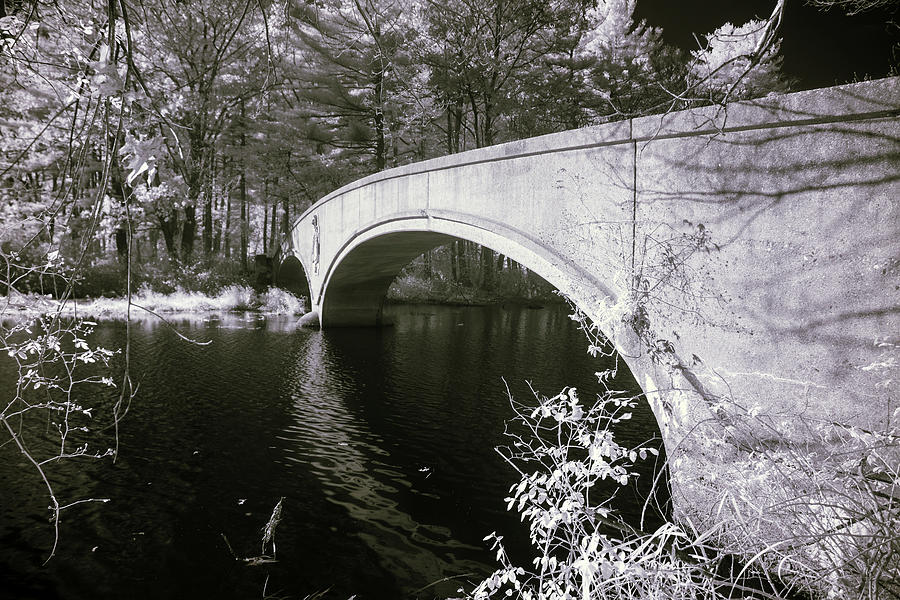 Bridge over Infrared Waters Photograph by Brian Hale
