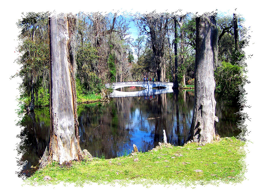 Tree Photograph - Bridge over Pond by Ralph  Perdomo
