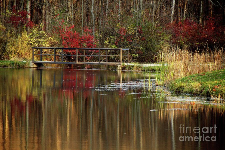 Bridge over still Waters Photograph by Don Kenworthy