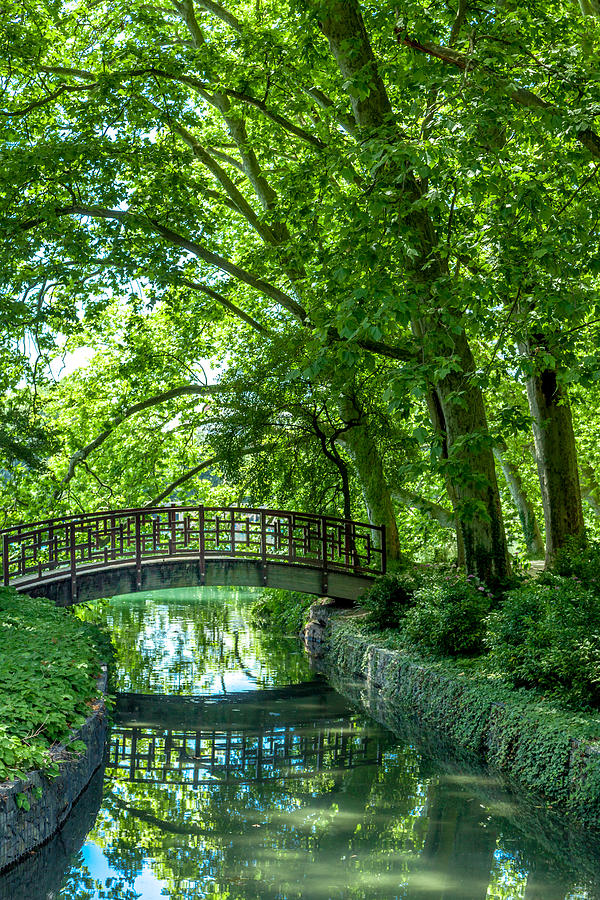 Spring Photograph - Bridge over tranquil water by W Chris Fooshee