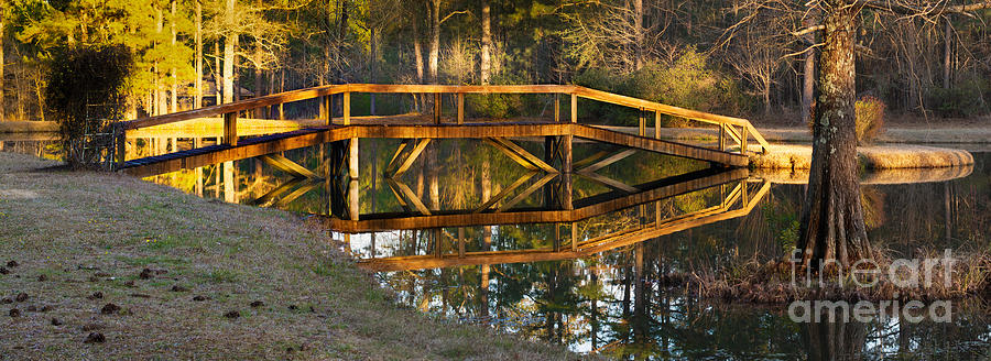 Bridge Reflection Photograph by Metaphor Photo