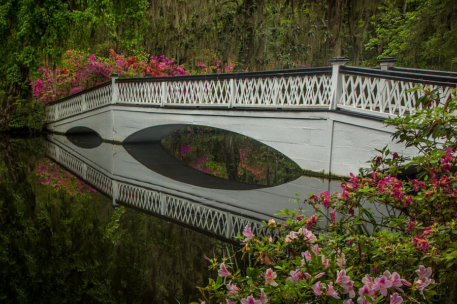 Bridge Reflections Photograph by James Woody