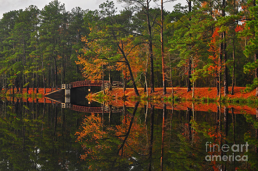 Bridge Reflections Photograph by Randy Rogers