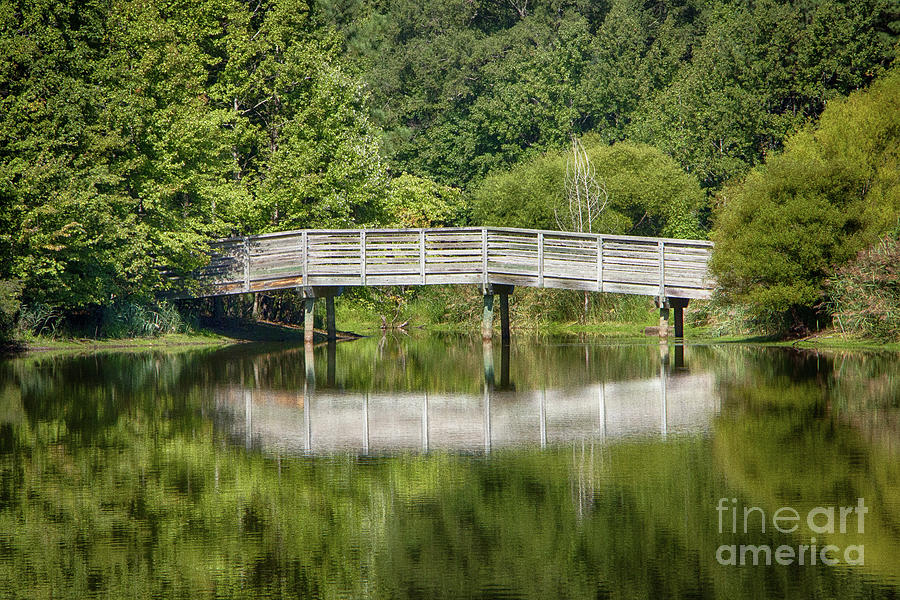 Bridge Reflections Photograph by Robert Anastasi