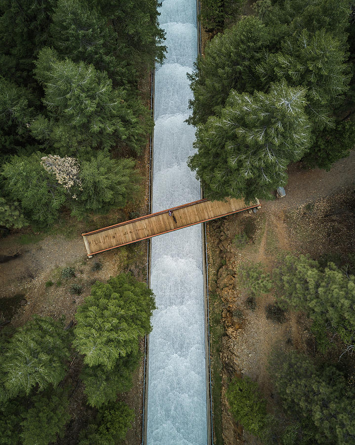 Tree Photograph - Bridge The Gap by Alpha Wanderlust