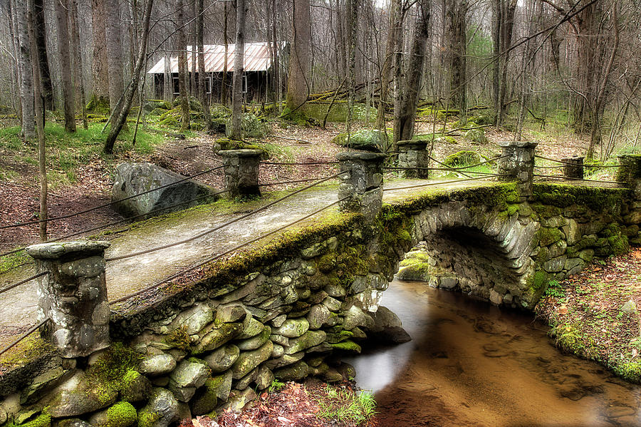 Bridge Through The Woods Photograph by Mike Eingle