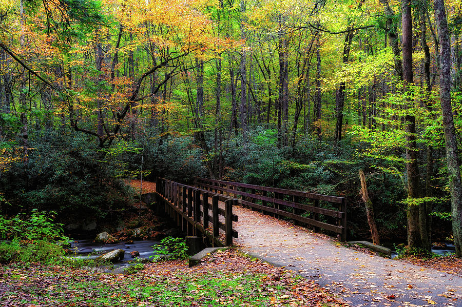Bridge to Autumn Photograph by C  Renee Martin