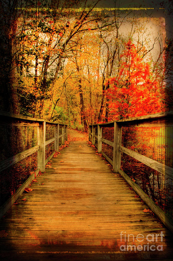 Bridge to Fall Photograph by Darren Fisher