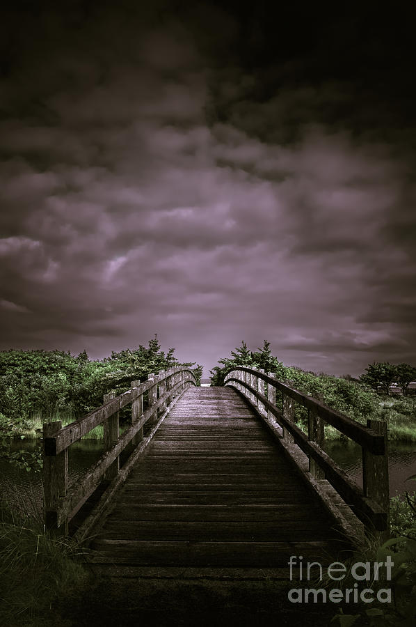 Bridge To Forever Toned Photograph by Al Andersen
