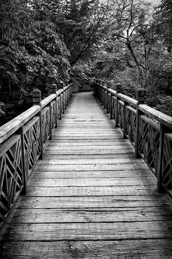 Bridge To New Beginnings  Photograph by Steven Clark