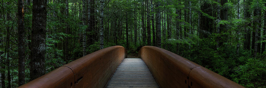 Bridge to Serenity  Photograph by Dustin LeFevre